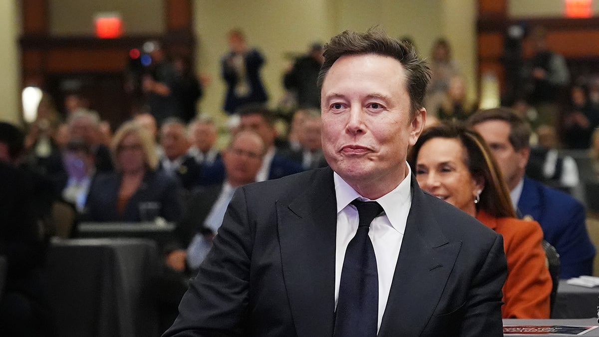 Elon Musk looks smugly at House Republicans