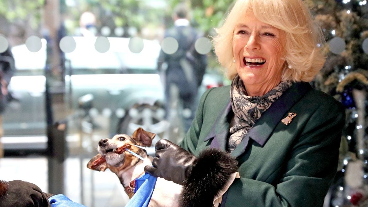 Camilla, Duchess of Cornwall with Beth, her jack-russell terrier, unveiling a plaque as they visit the Battersea Dogs and Cats Home to open the new kennels and thank the centre's staff and supporters on December 9, 2020 in Windsor, United Kingdom. (Photo by Steve Parsons - WPA Pool/Getty Images)