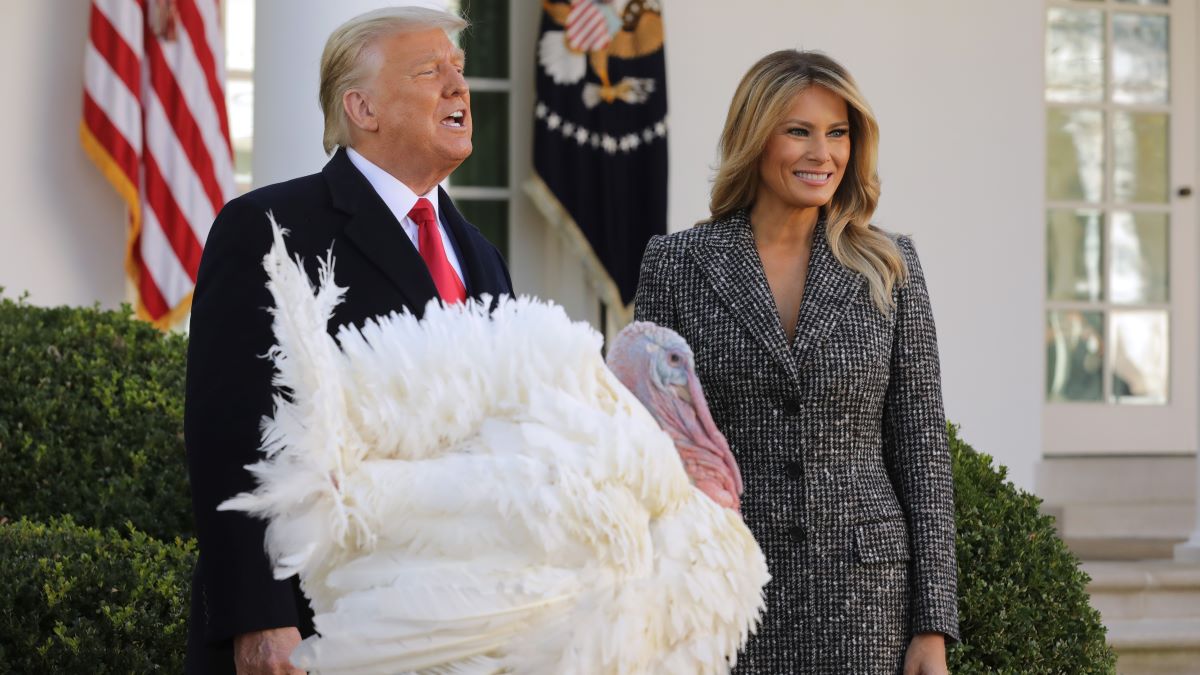 First lady Melania Trump (R) looks on as U.S. President Donald Trump gives the National Thanksgiving Turkey "Corn" a presidential pardon during the traditional event in the Rose Garden of the White House November 24, 2020 in Washington, DC. The turkey pardon was made official in 1989 under former President George H.W. Bush, who was continuing an informal tradition started by President Harry Truman in 1947. (Photo by Chip Somodevilla/Getty Images)