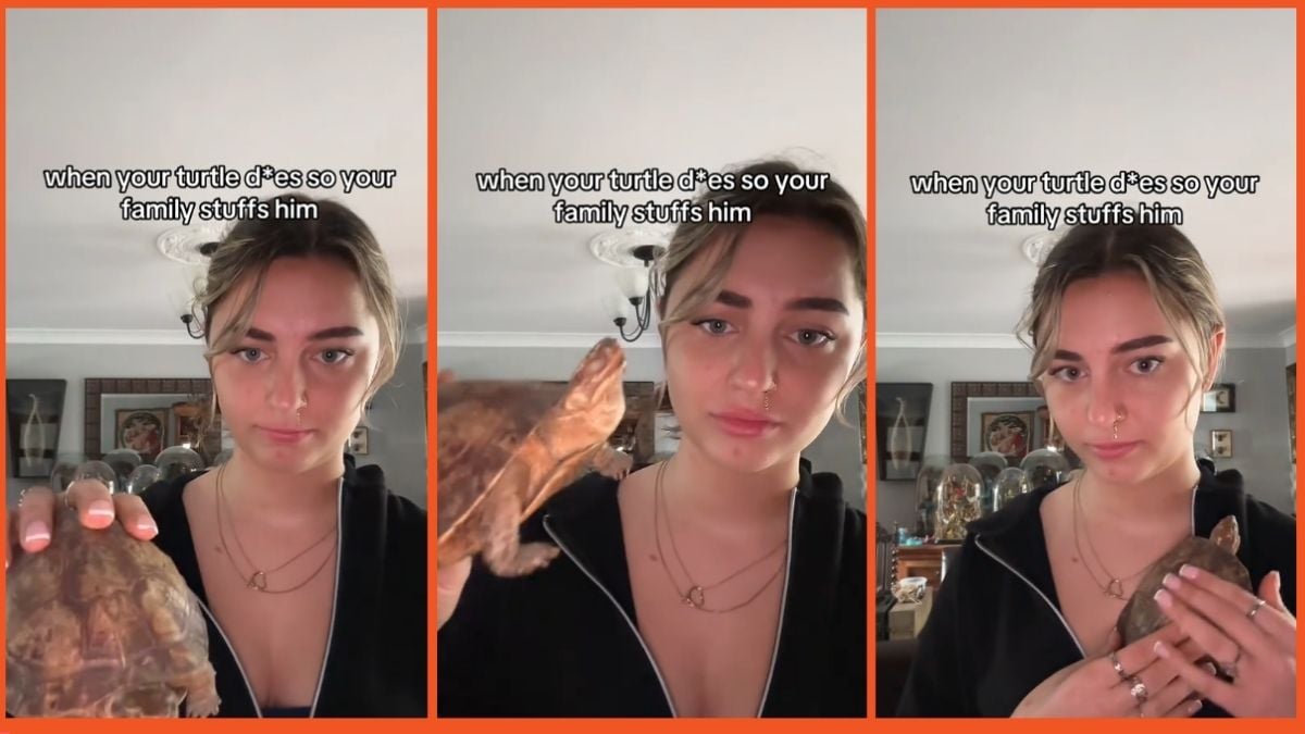 TikTok screenshots of a woman holding a stuffed turtle