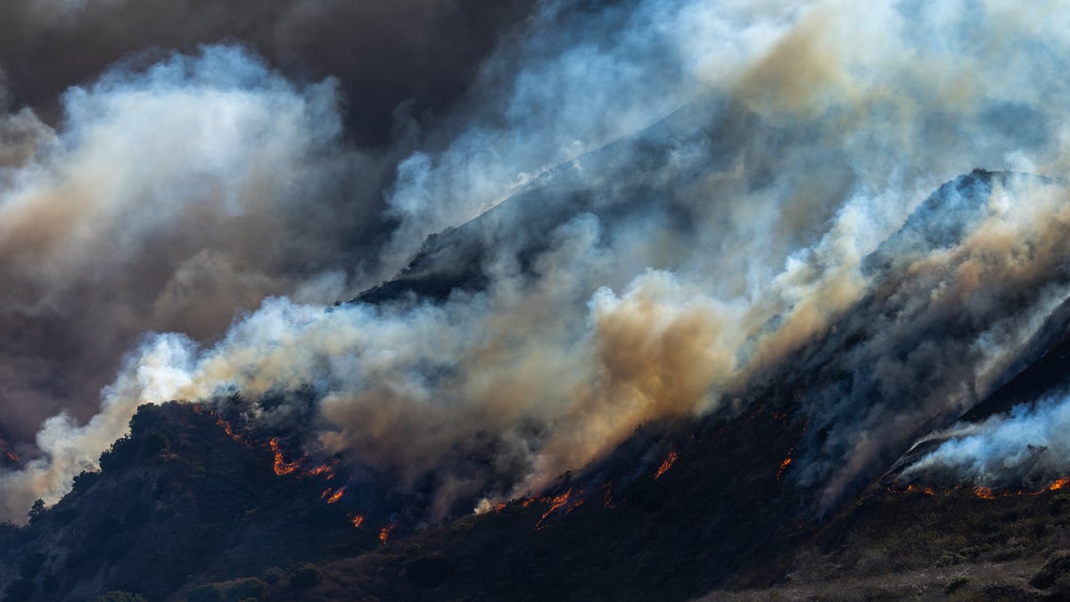 A wildfire burns brush in California