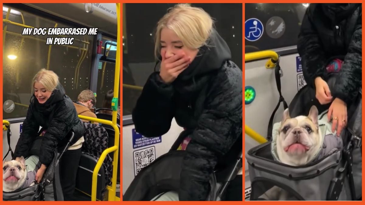 A woman stifles laughs on a public bus as her dog makes noise.