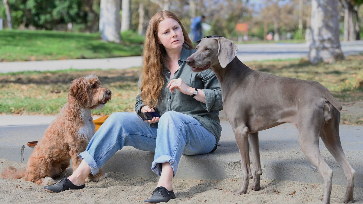 Amy Adams with dogs in Nightbitch