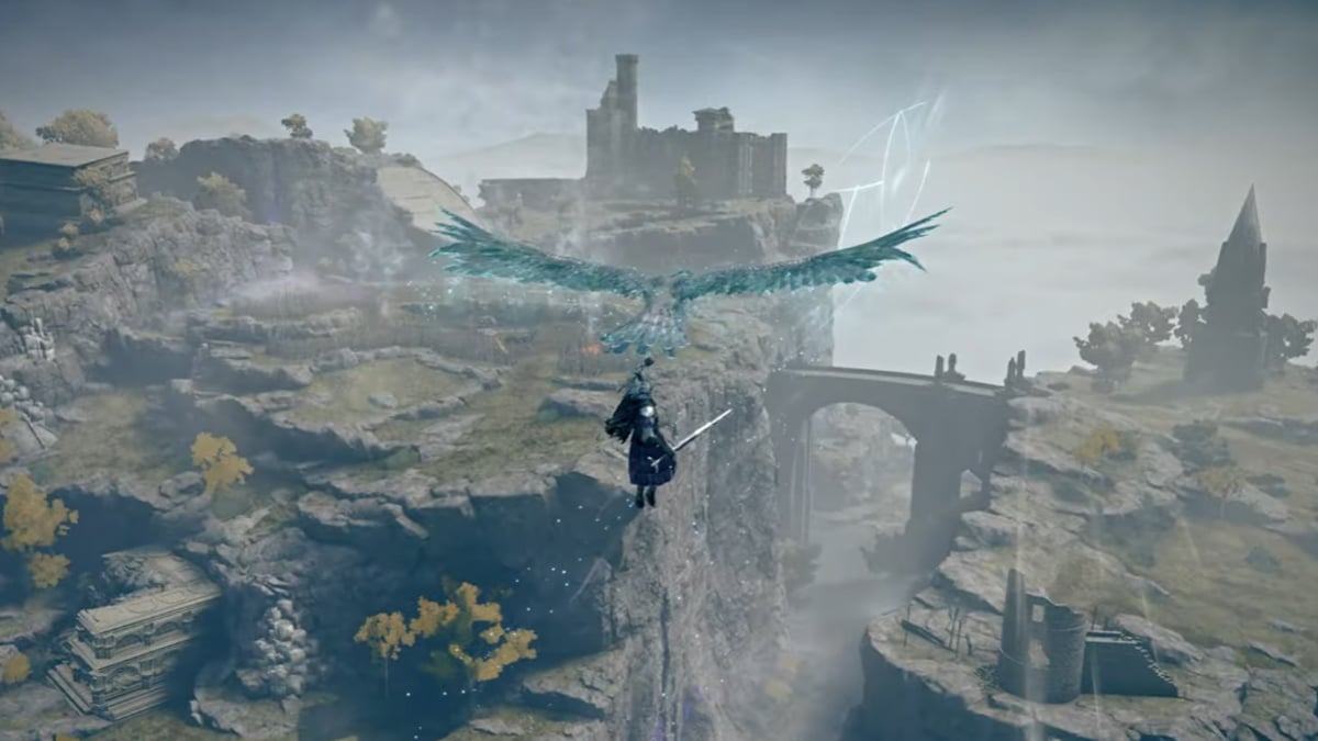 Elden Ring nightreign player floating with bird