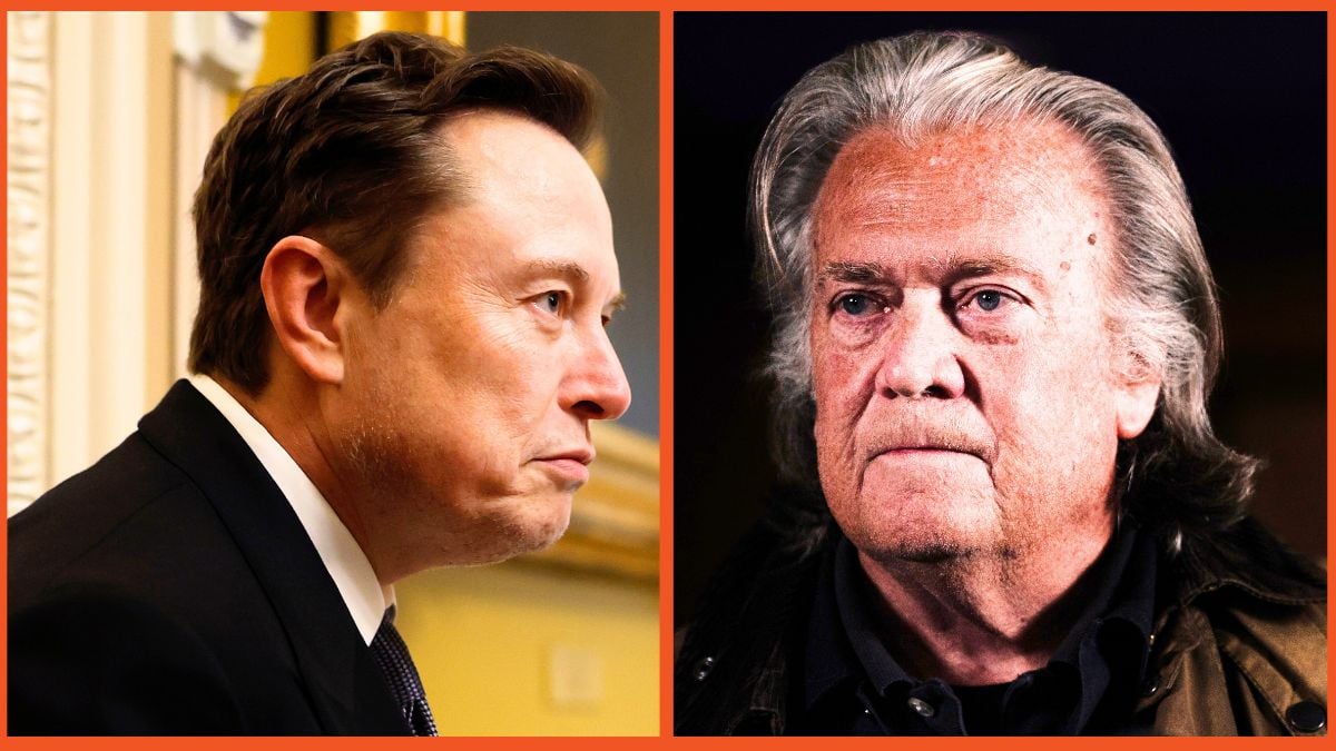 Steve Bannon Elon Musk