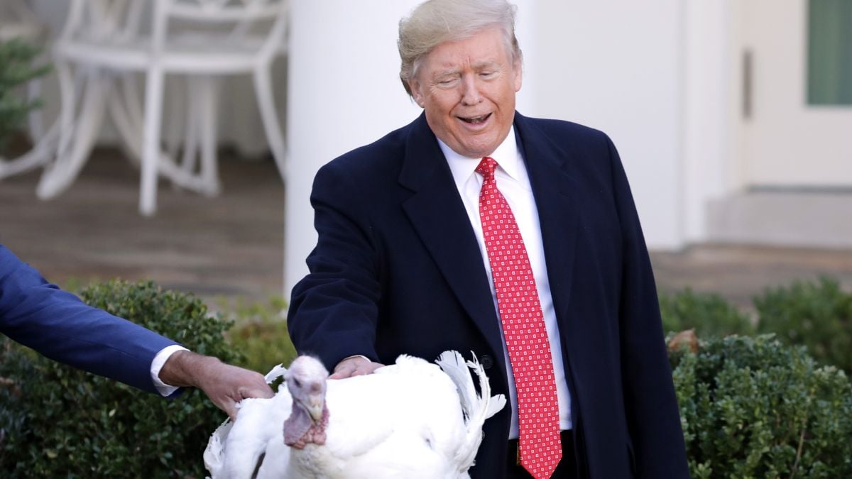 Donald Trump eyes a Turkey for pardon