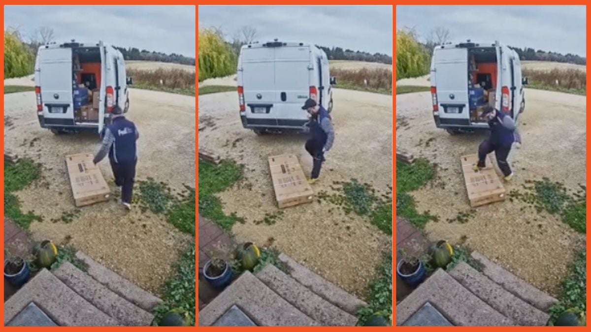 Viral TikTok of FedEx driver damaging a delivered package