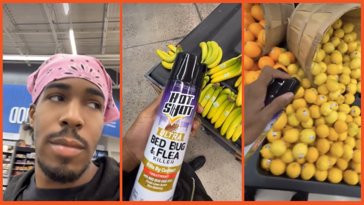 TikTok "troll" walmart bug spray