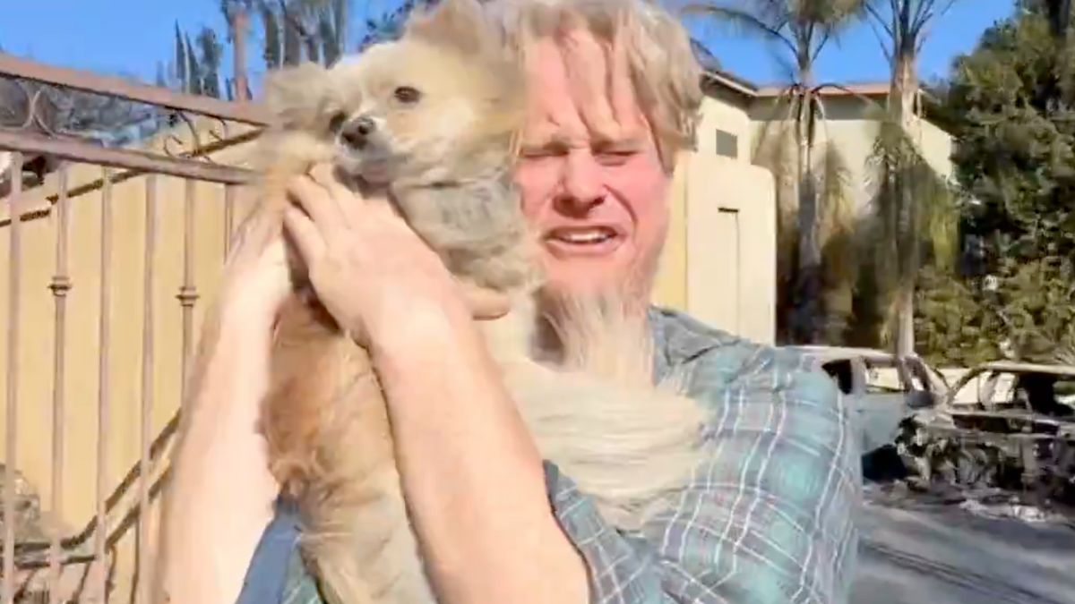 Dog rescued from LA fires