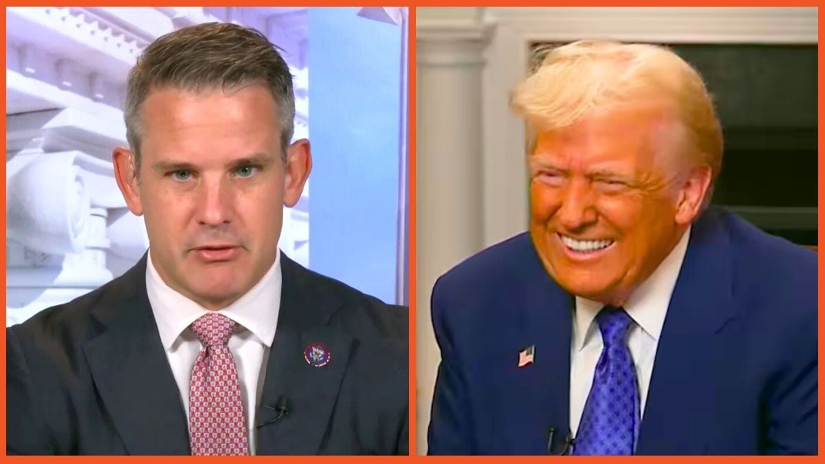 Adam Kinzinger and Donald Trump