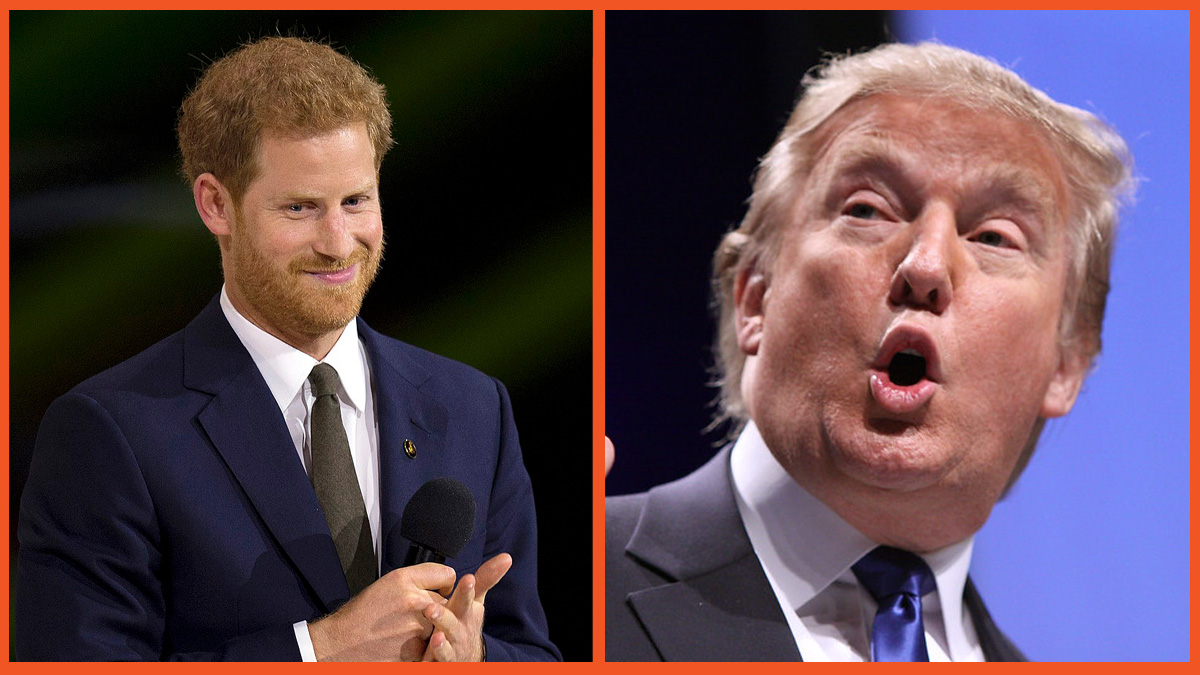 Prince Harry and Donald Trump, side by side, separated by a panel.