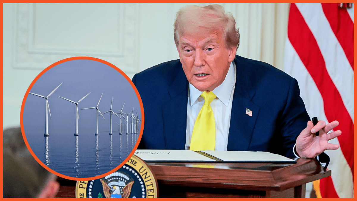 Donald Trump, wind turbines via Getty Images, Andrew Moneymaker, WikiCommons, Kim Hansen