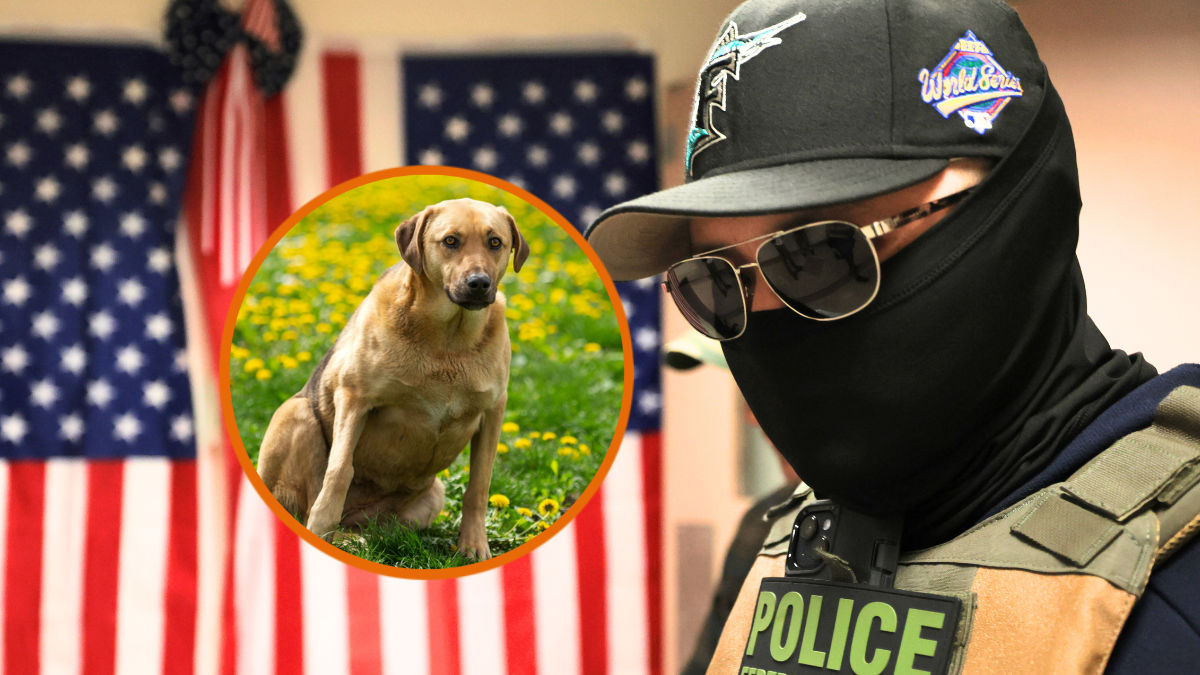 Federal agents patrol the halls of immigration court at the Jacob K. Javitz Federal Building on July 21, 2025 in New York City. Lawmakers in New York are introducing a bill that would ban law enforcement officers, including federal U.S. Immigration and Customs Enforcement (ICE) agents, from wearing masks. The bill, sponsored by Assemblymember Tony Simone, would be called the Mandating End of Lawless Tactics (MELT) Act. (Photo by Michael M. Santiago/Getty Images)
