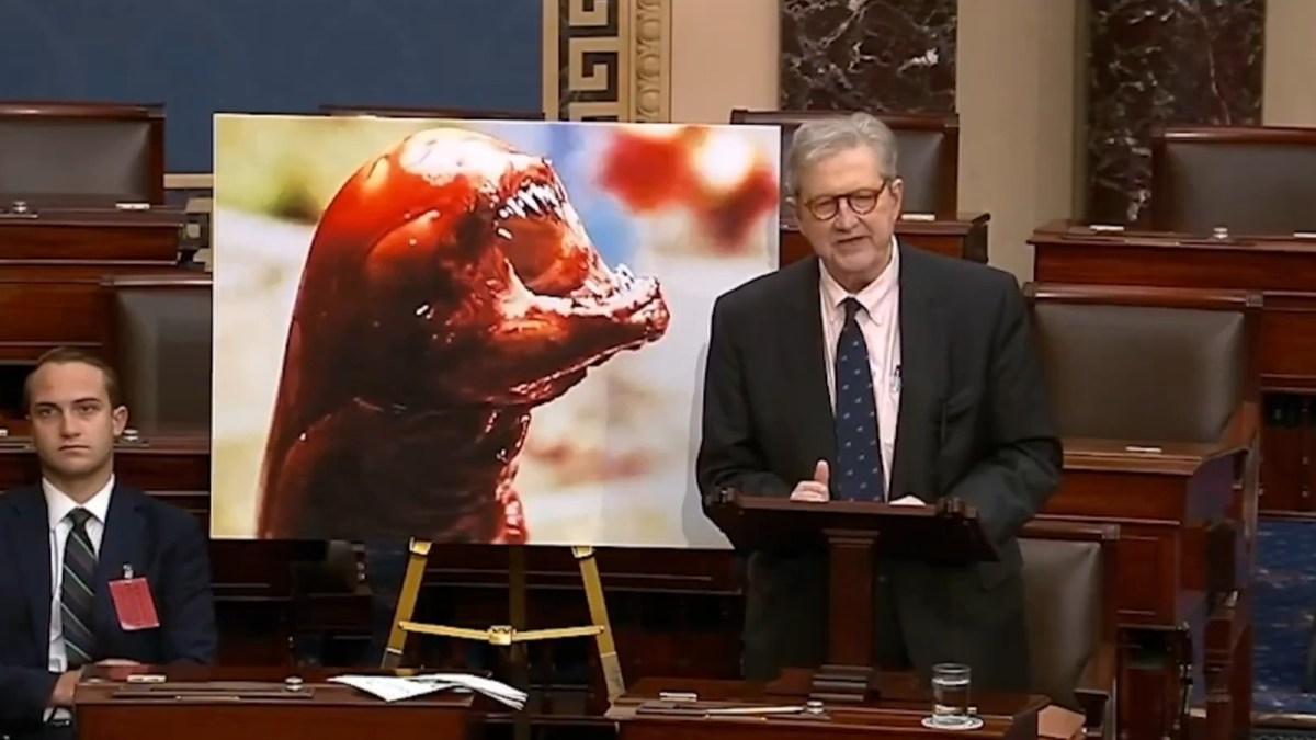 Screengrab via CSPAN