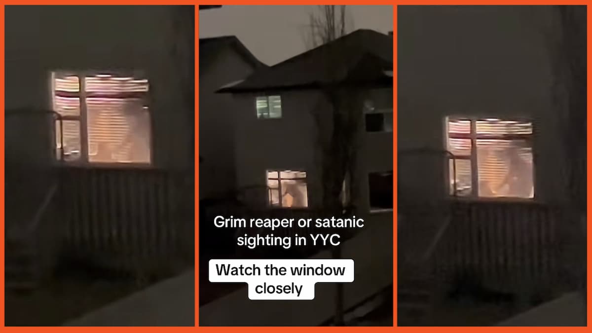 freshguym1 on TikTok