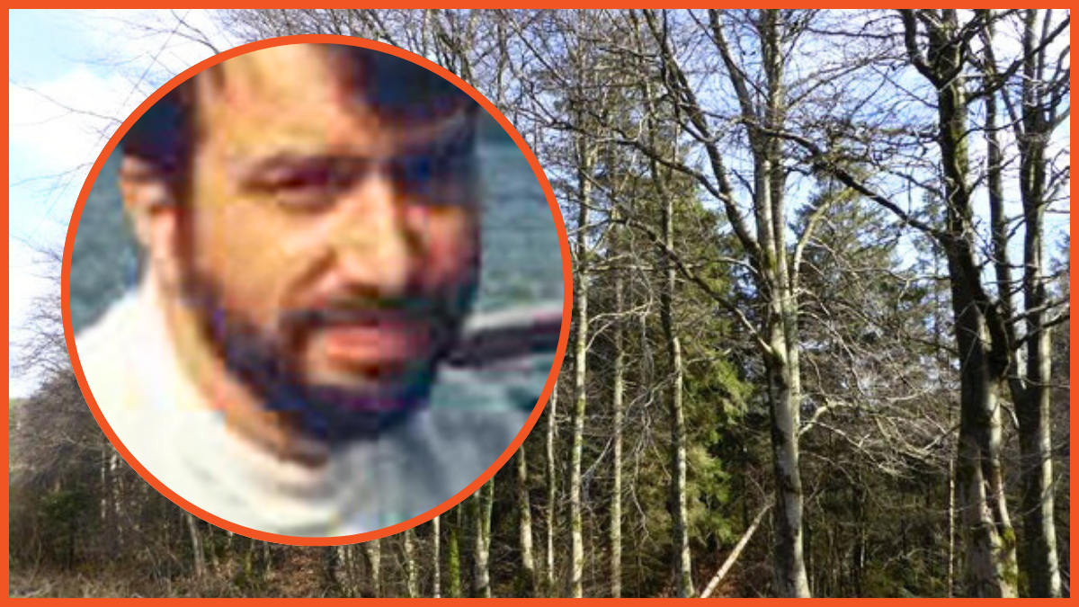 Clocaenog Forest, Richard Sumner, via Sumner family, Wiki Commons, Eirian Evans