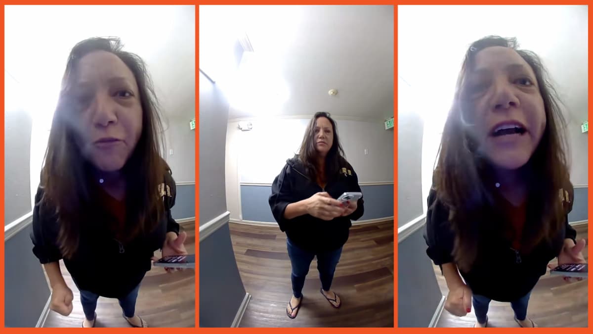 Angry Karen on TikTok