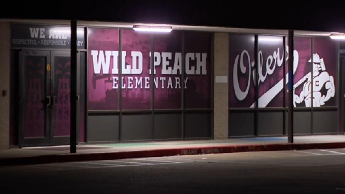 Wild Peach Elementary School, Texas