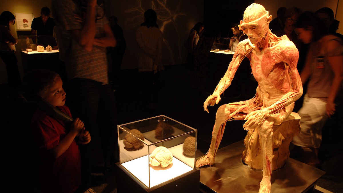 BODIES...THE EXHIBITION - Opening Party - Las Vegas