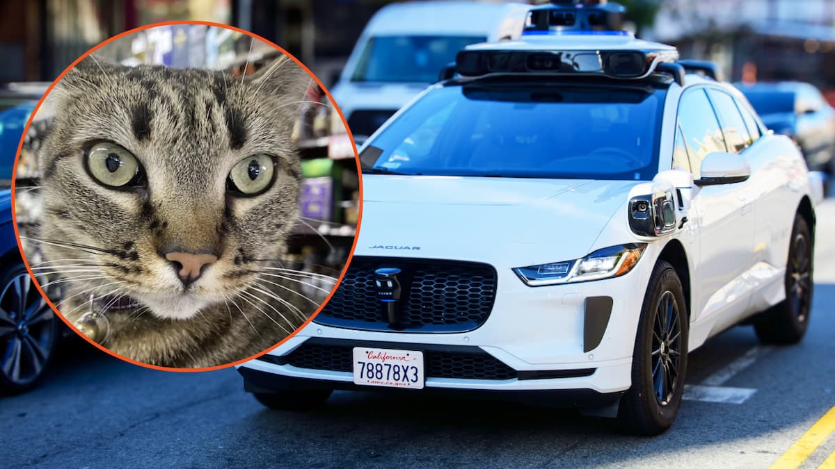 KitKat + Waymo Jaguar driverless car drives on urban street in San Francisco - stock photo