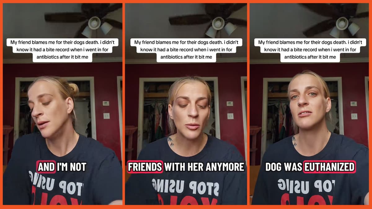 tinysparksvixen on TikTok