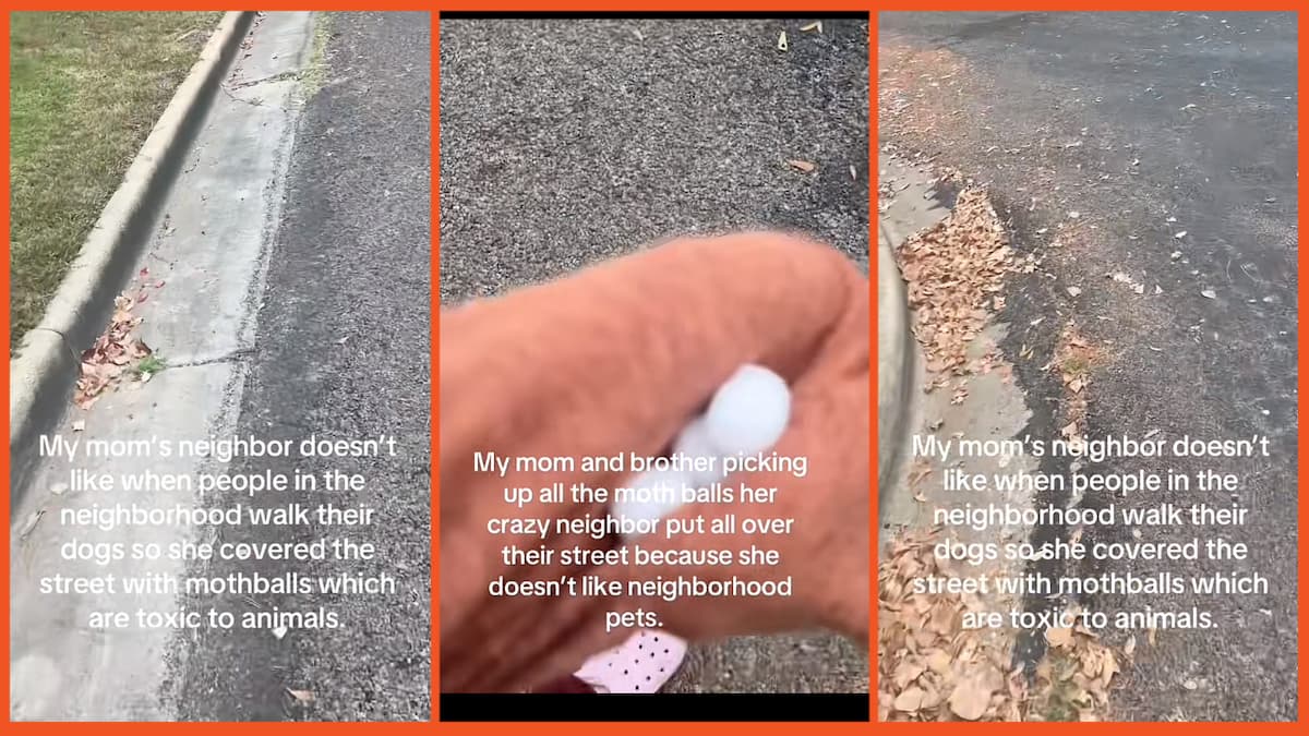 dietcokeplsss on TikTok