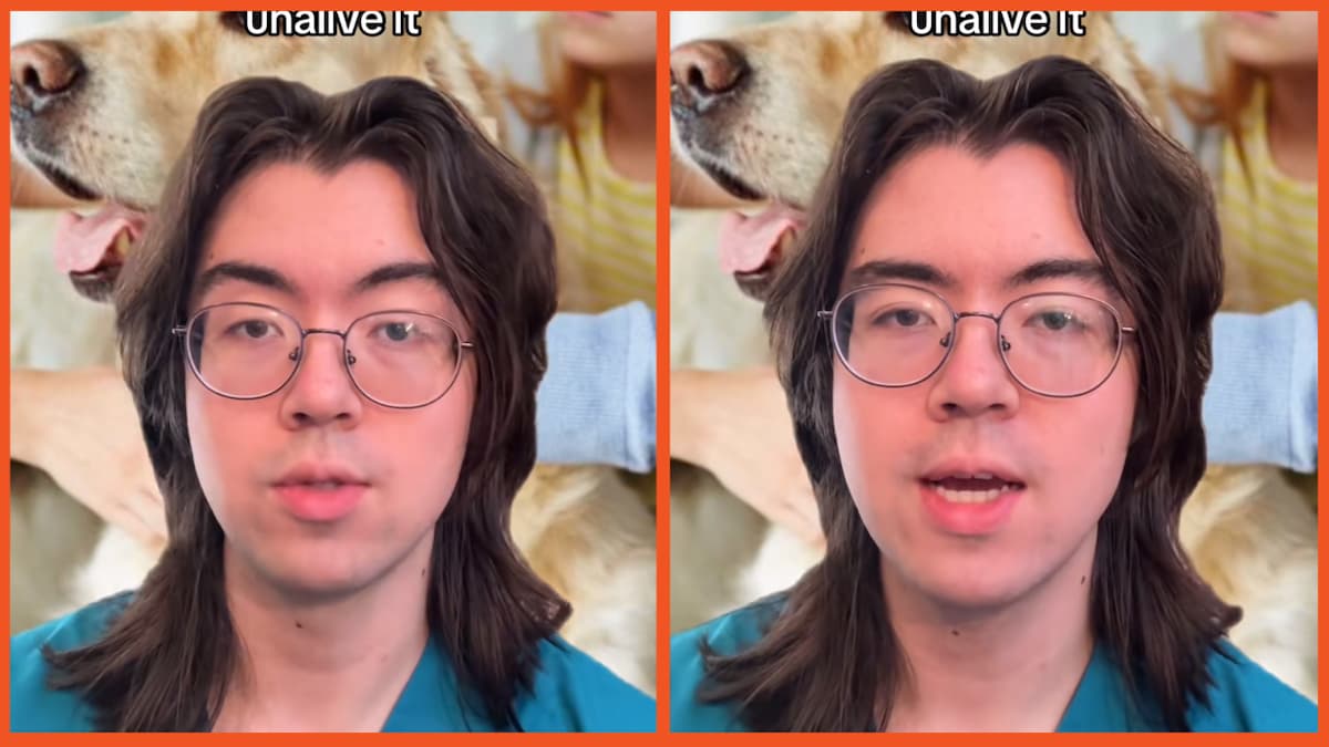 aranisagoodboy on TikTok