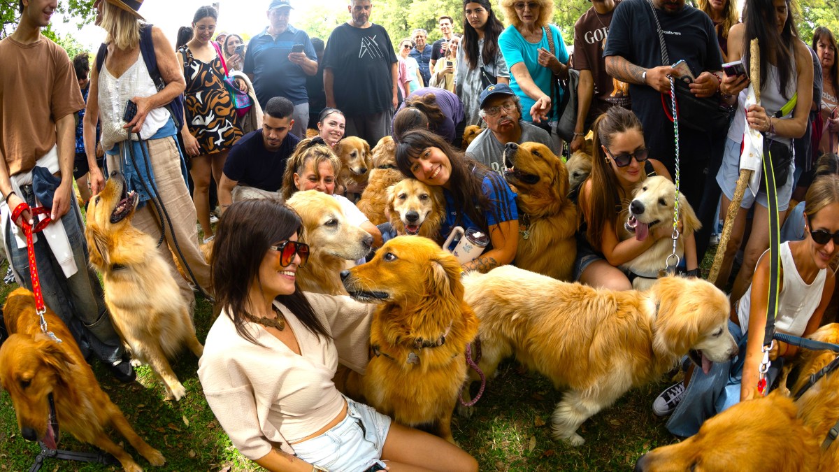 Golden Retriever owners pose with their dogs for the press during a gathering to set a new world record at Plaza Berlin on December 08, 2025 in Buenos Aires, Argentina. The event organized by Fausto Duperré aims to gather 2,500 dogs to set the record of the biggest gathering in the world. (Photo by Tobias Skarlovnik/Getty Images)