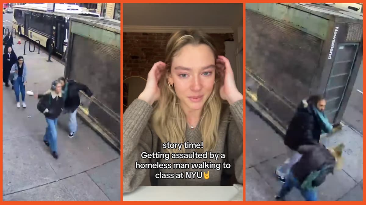 amelia.lewis506 on TikTok