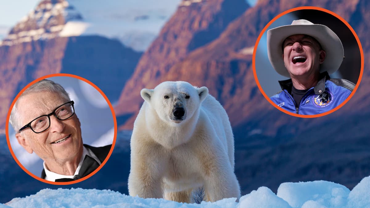 Jeff Bezos, Bill Gates, Polar bear in Greenland