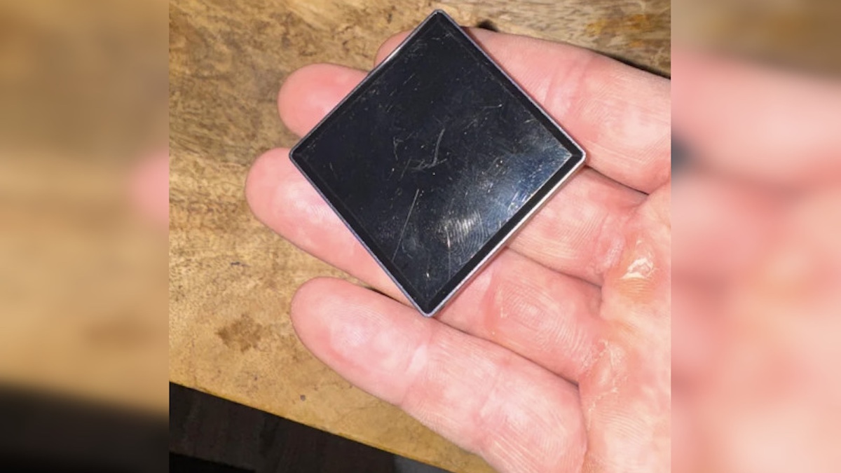 CuddieRyan707 via Reddit