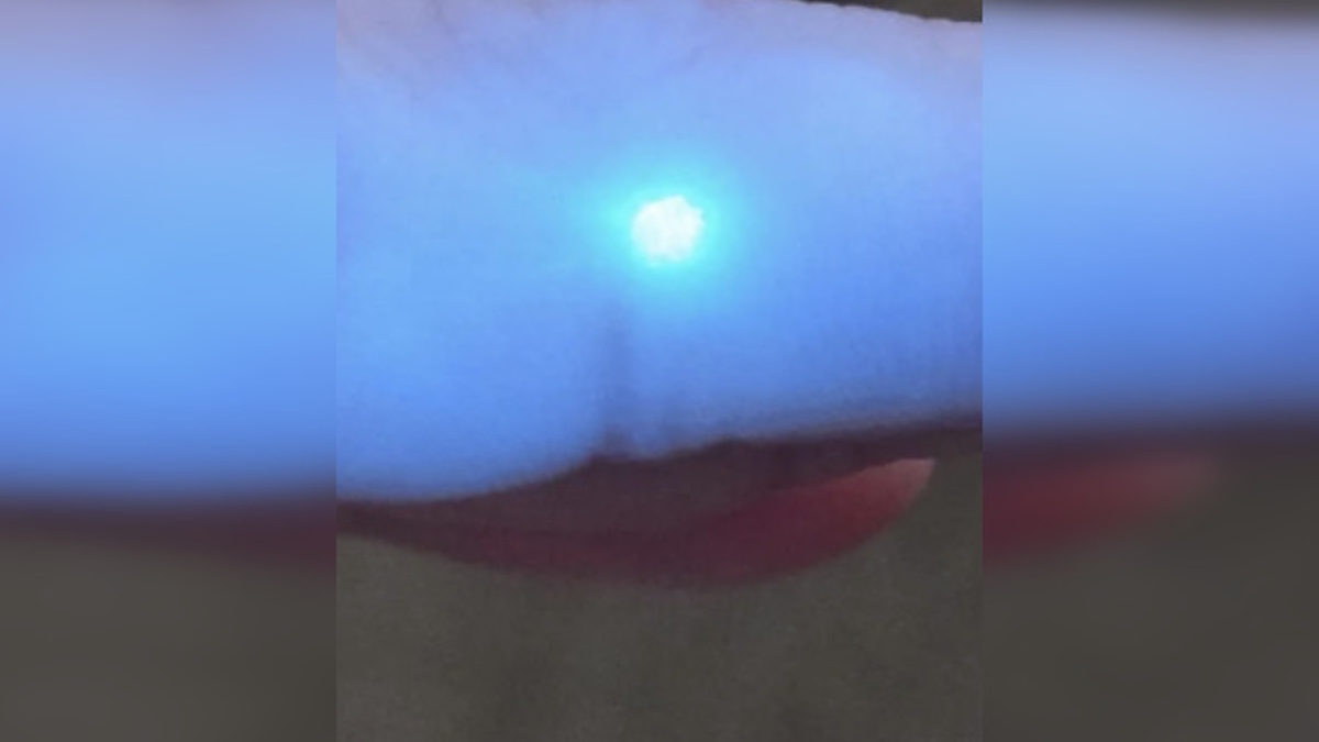 AllPurposeGrunt via Reddit