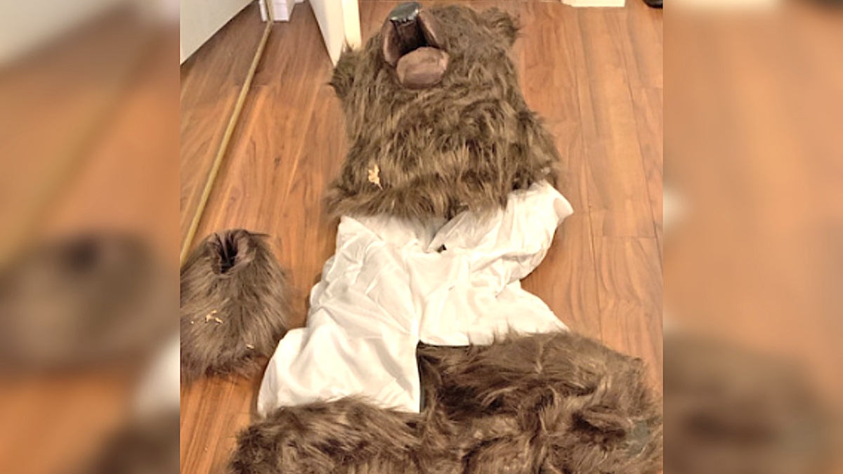 Operation Bear Claw costume via California Department of Insurance