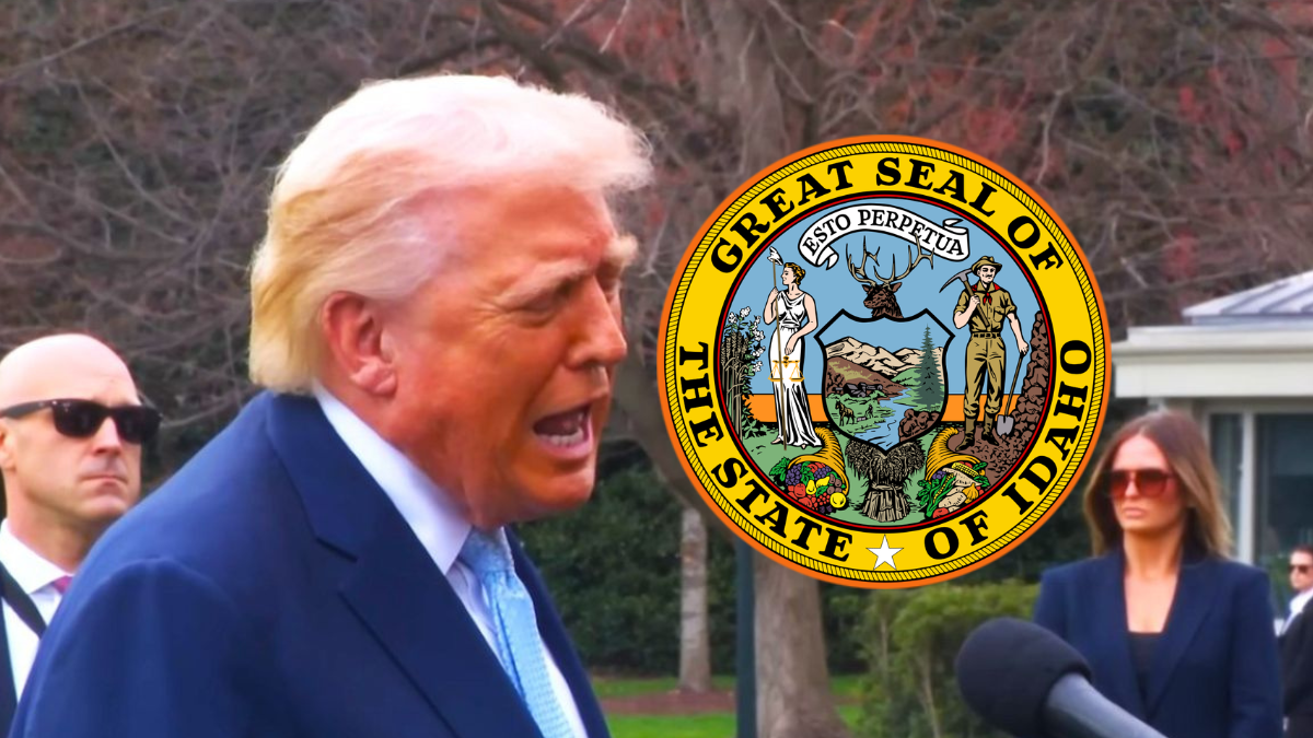 Screengrab via YouTube/CC