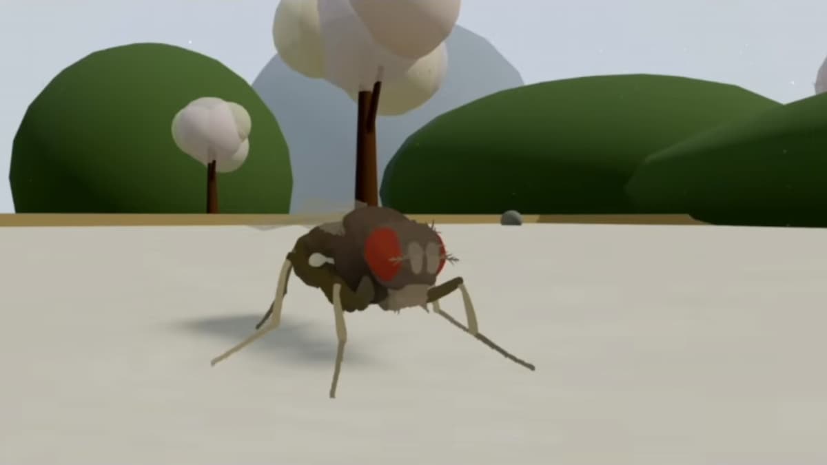 The First Multi-Behavior Brain Upload