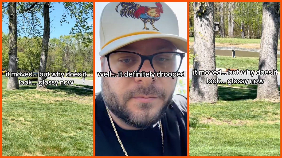 Iscaredads (@sorrytoyourfather) via TikTok