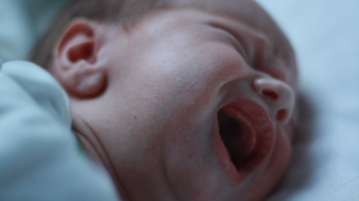 Image by Kit4na, CC BY 2.0.