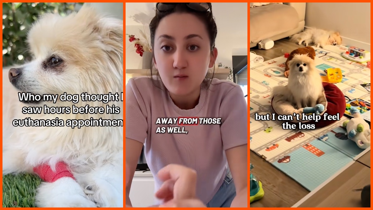 KELS|Life via TikTok