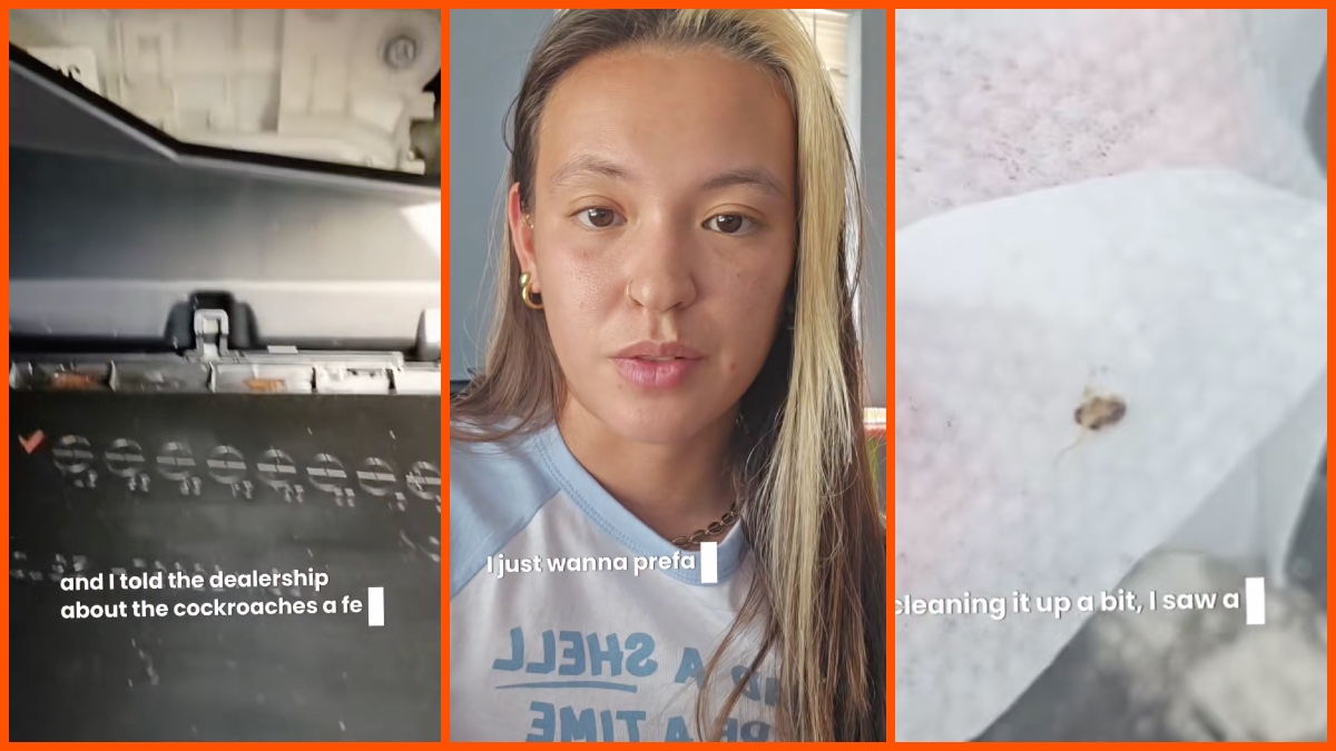 Kimmy (@petalandpawttery) via TikTok