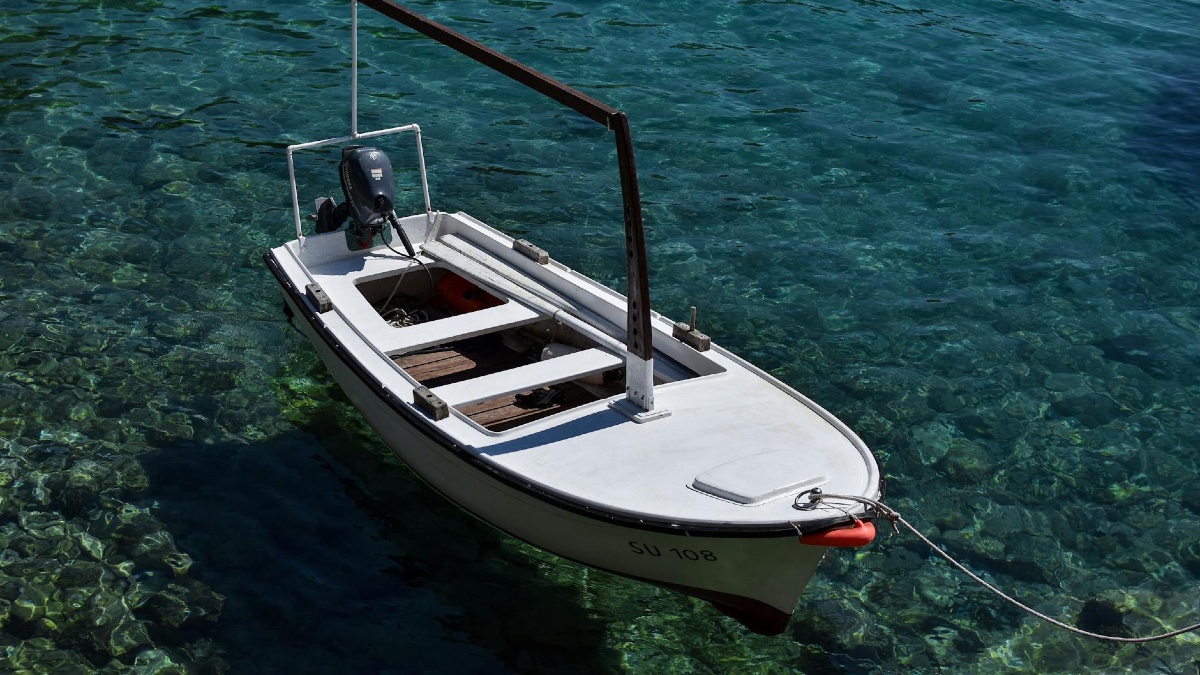 Image by Milan Stefanovic on Pexels.