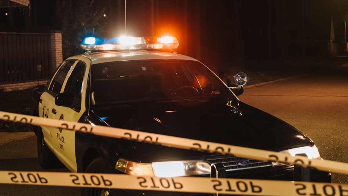 Image by cottonbro studio on Pexels.