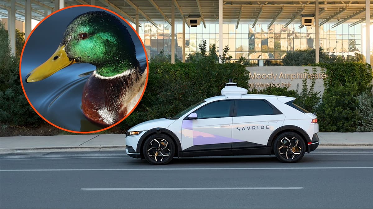 Avride Vehicle and Duck