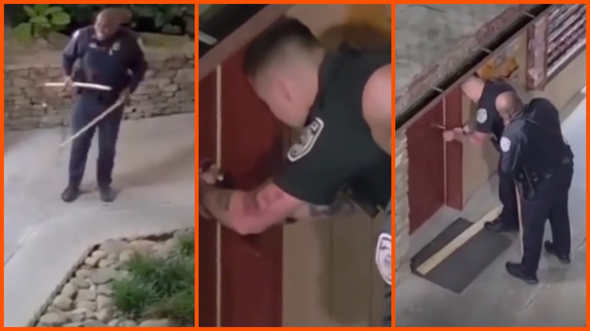 Gatlinburg PD confront bear via Gatlinburg PD, X