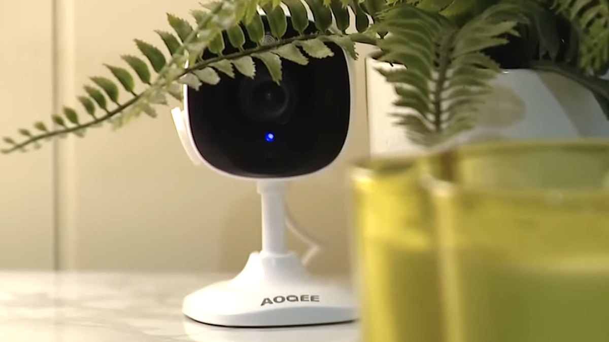 Home security cam via Fox 2 Detroit