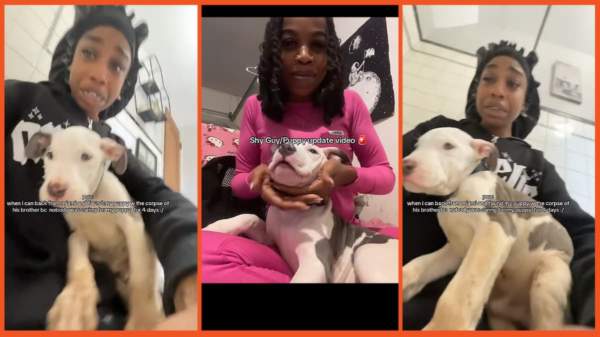 Woman and Dog on TikTok
