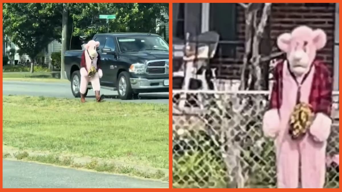 Pink Panther costume in Virginia