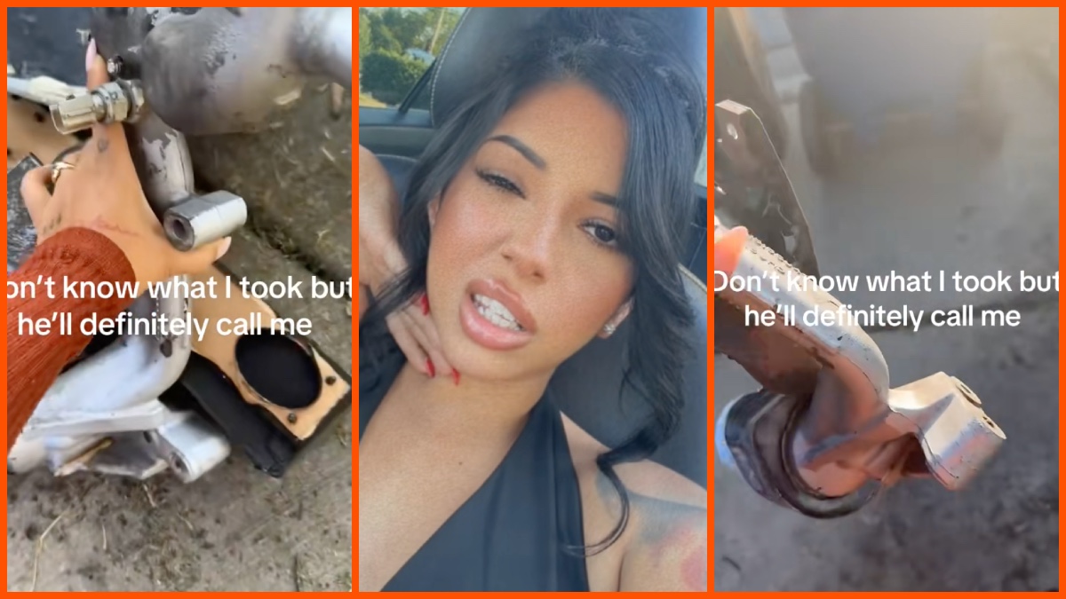 Ashley (@Ashley_kassandra) via TikTok