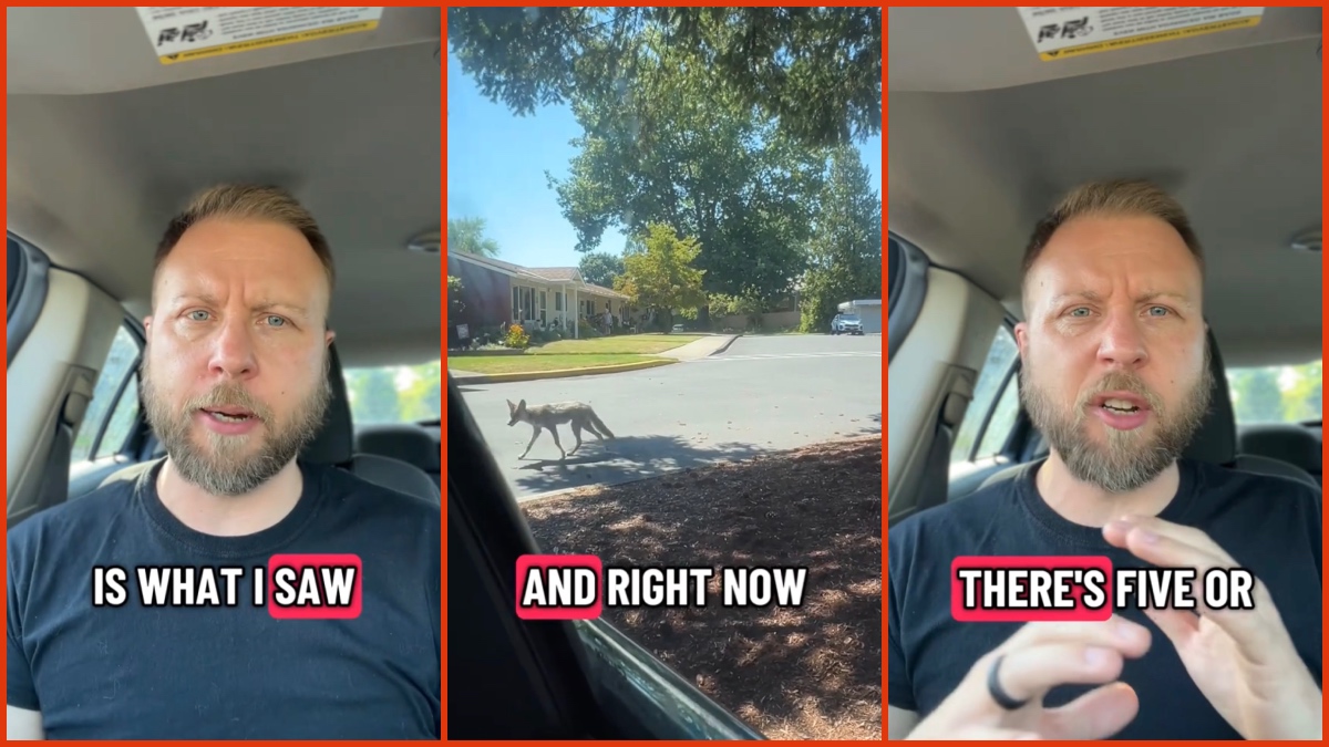 Oregon pastor visits church members at a local retirement community. First thing he saw? A wild animal chasing a lady with a walker: ‘They were here first’
