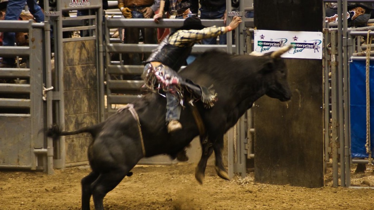 Image by Paul J Everett, CC BY 2.0.