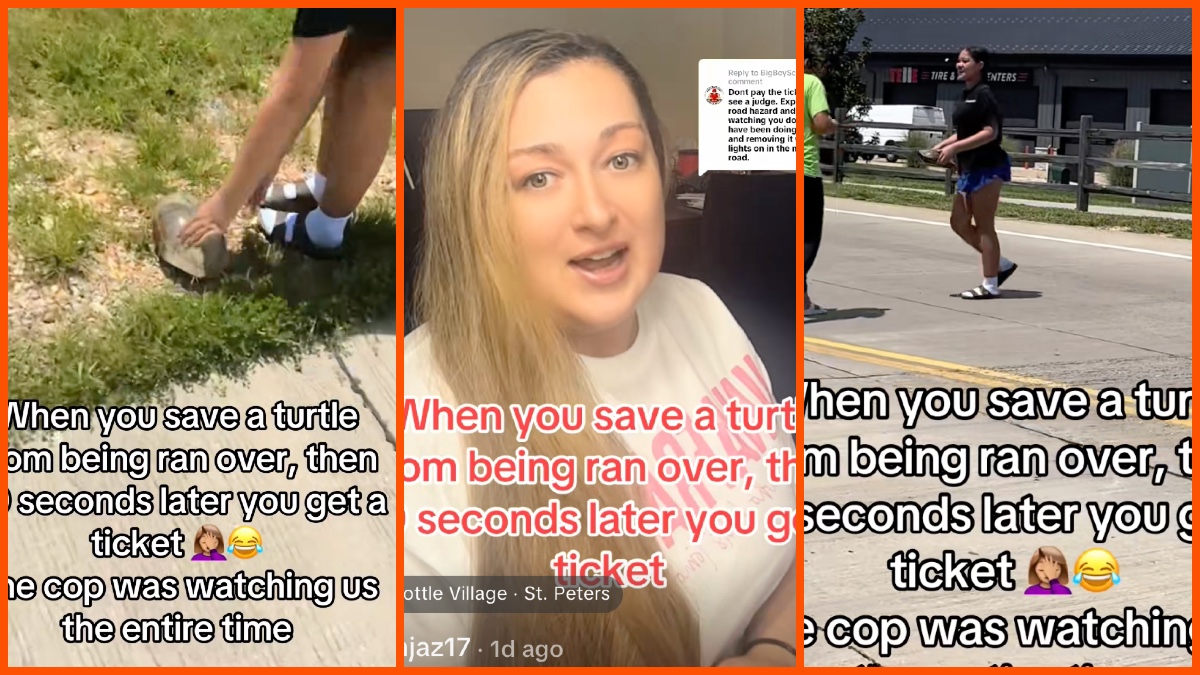 Real Life (@ellenjaz17) via TikTok